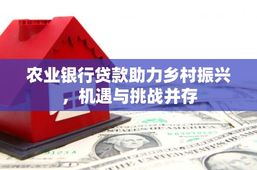 安溪农业银行贷款助力乡村振兴，机遇与挑战并存