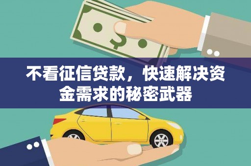 安溪不看征信贷款，快速解决资金需求的秘密武器