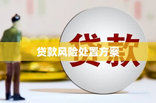 安溪贷款风险处置方案