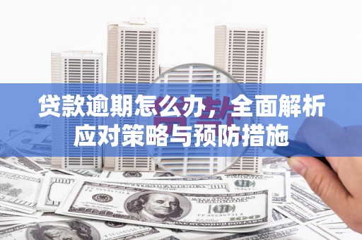 安溪贷款逾期怎么办，全面解析应对策略与预防措施