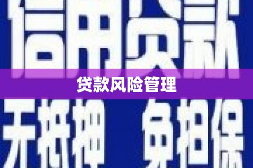 安溪贷款风险管理