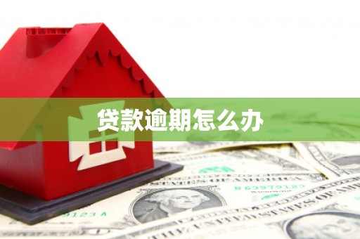 安溪贷款逾期怎么办