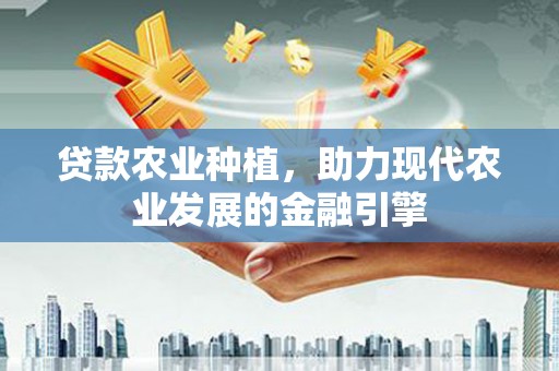 安溪贷款农业种植，助力现代农业发展的金融引擎