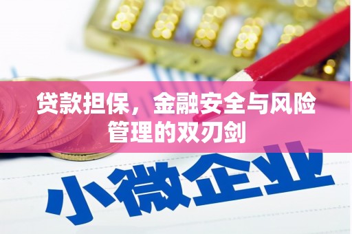 安溪贷款担保，金融安全与风险管理的双刃剑