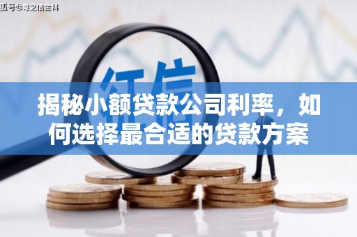 安溪揭秘小额贷款公司利率，如何选择最合适的贷款方案