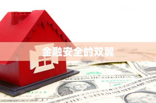 安溪金融安全的双翼