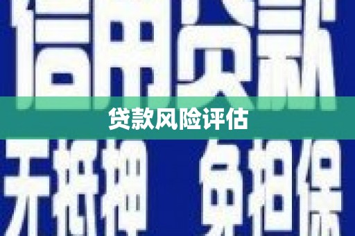 安溪贷款风险评估