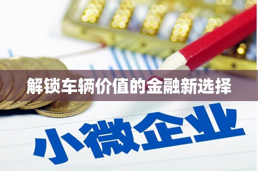 安溪解锁车辆价值的金融新选择