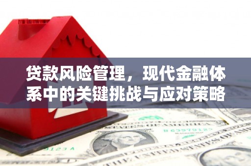 安溪贷款风险管理，现代金融体系中的关键挑战与应对策略