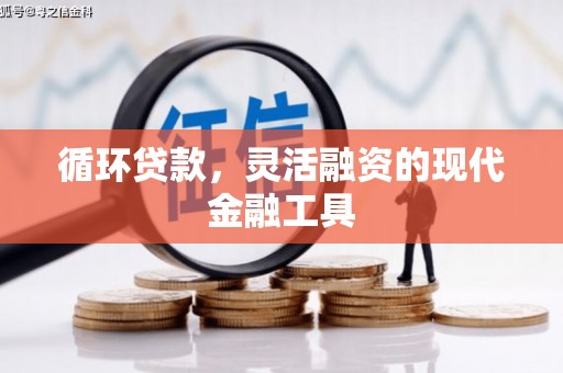 安溪循环贷款，灵活融资的现代金融工具