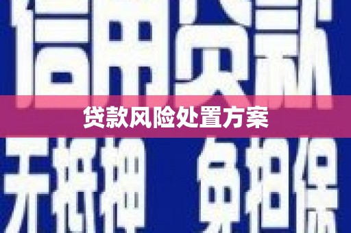 安溪贷款风险处置方案