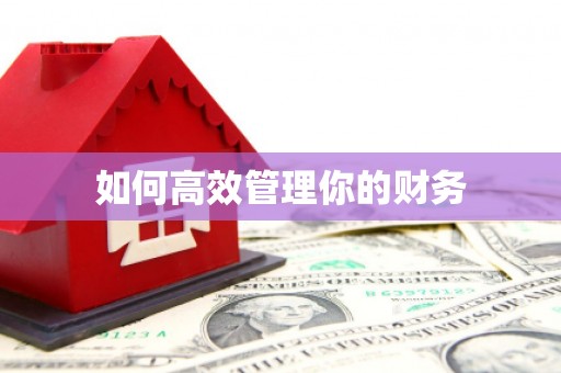 安溪如何高效管理你的财务