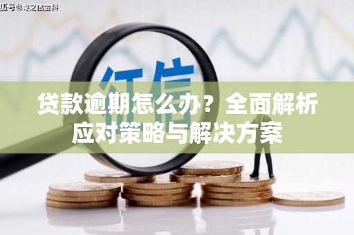 安溪贷款逾期怎么办？全面解析应对策略与解决方案