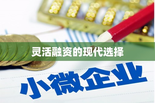 安溪灵活融资的现代选择