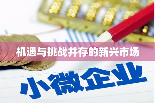 安溪机遇与挑战并存的新兴市场